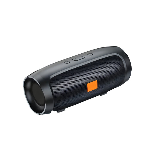 Portable TWS Bluetooth Speaker